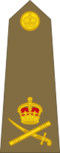 British Army (1920-1953) OF-8.svg