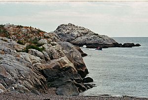 Cormorant rock