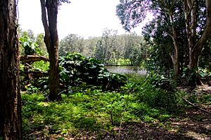 Currumbin Wildlife Sanctuary.jpg