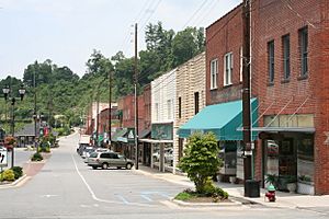 Locust (Lower) Street, Spruce Pine NC