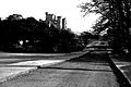 Eglinton castle & driveway 1965