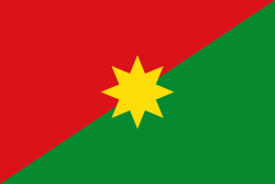 Flag of Casanare.svg