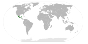 Geococcyx Velox Map.svg