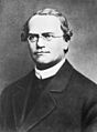 Gregor Mendel 2