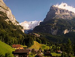 View to southeast to the disappearing Lower Grindelwald Glacier with parts of the Mättenberg to the left, the Hörnli (2710 m a.s.l.) to the right, and the Fiescherhorn (4049 m a.s.l.) in the back