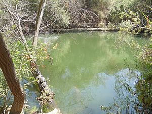 Heavenly Pond in Franklin Canyon Park, Los Angeles, California