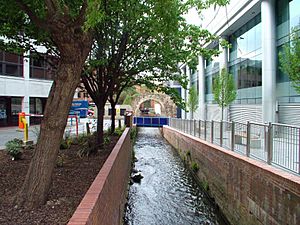 Holybrook and Abbey Mill Arch