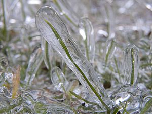 Ice on grass