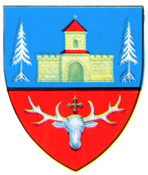 Interbelic Campulung County CoA