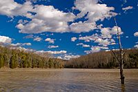 Kincaid Lake