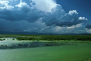 Klamath Basin landscape