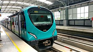 Kochi Metro train at Palarivattom, Aug 2017