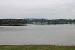 Lake Chillisquaque in July (1)