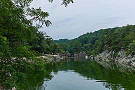 Lock 15 View