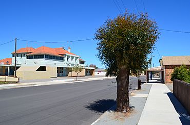 Macpherson Street, Carnamah, 2012.JPG