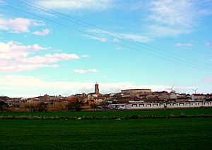 View of Mallén from the west