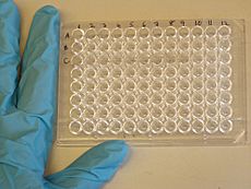 Microtiter plate