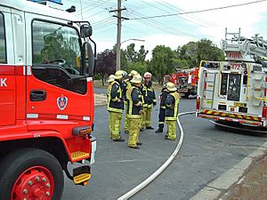 NSWFB112