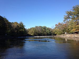 Neshaminy Creek in Tyler State Park