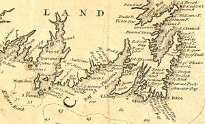 Newfoundland1744.jpg