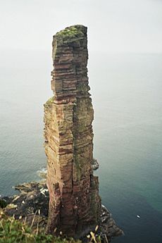 Old man of hoy