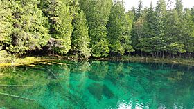 Palms Book State Park (Kitch-iti-kipi).jpg