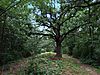 Pflaum-McWilliams Mound Group