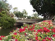 Phoenix-Building-Arizona Biltmore Hotel bridge-1929-1