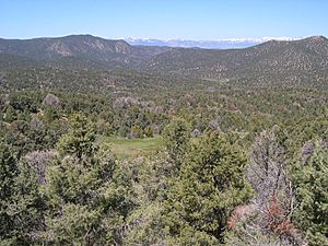 Pine Nut Mountains