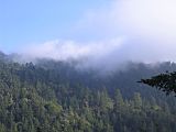 Purisima Creek vista