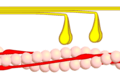 Querbrückenzyklus 4