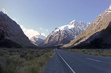 State Highway 94 through Hollyford Valley