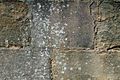 Stone Mason marks as seen in the Chapter House of Fountains Abbey