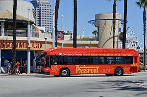 The Passport (Free Bus)