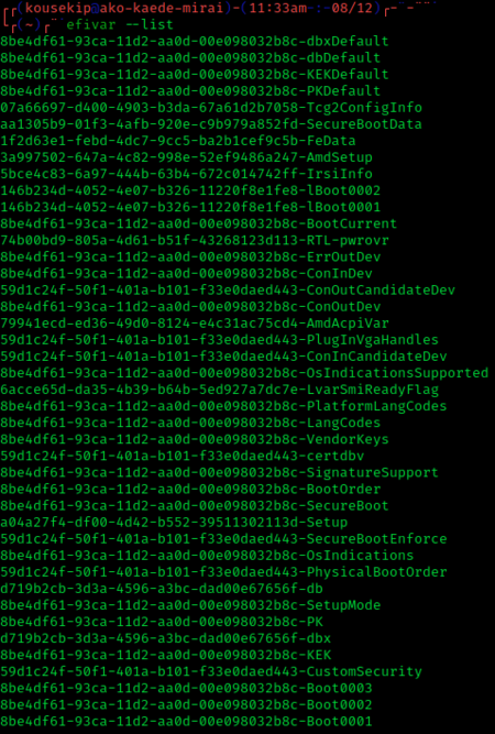 UEFI variables on Linux screenshot