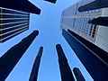 View of sky from within