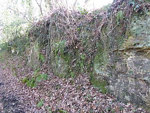 Waldron Cutting (4).jpg