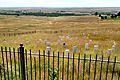 Where custer fell little big horn