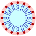 A lipid micelle