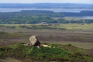 Agglestone on the heath