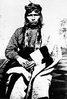 Ahgamahwegezhig (Chief Sky)