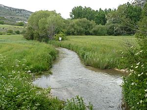 Albendiego20110605162532p1120008