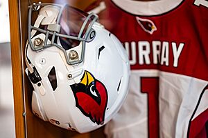 Arizona Cardinals (51156565435)