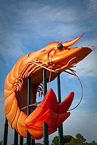 Ballina BigPrawn3.jpg