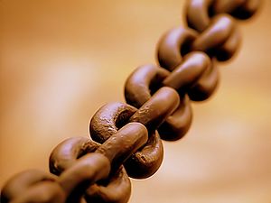 Broad chain closeup