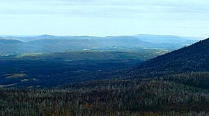 Butler Knob view