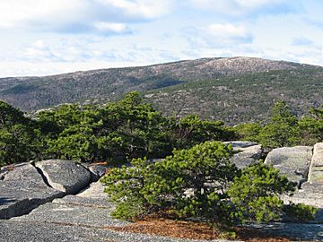 Cadillac Mountain from Champlain Mountain - panoramio.jpg