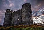 Carlow Castle early morning.jpg