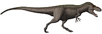 Daspletosaurus torosus steveoc flipped.jpg