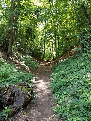 Devil's Dyke, Hertfordshire 2 2020-07-20